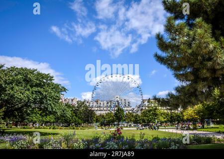 Jardin des Tuileries an einem farbenfrohen sonnigen Tag - Paris, Frankreich Stockfoto