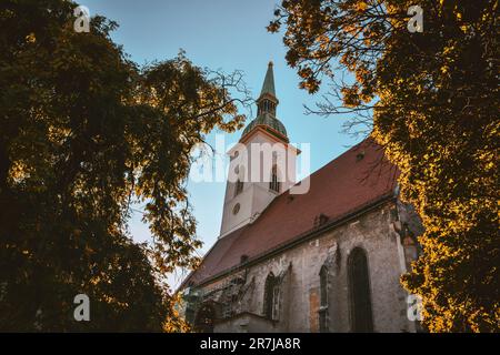 St. Martins Kathedrale, tiefer Blick zwischen Bäumen - Bratislava, Slowakei Stockfoto