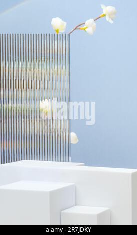 Weißer Sockel zeigt blauen Hintergrund mit modernem Transparentstreifen-Glas und Blume mit Sonnenlicht Stockfoto