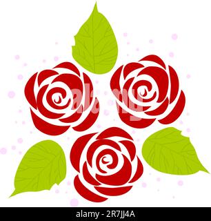 Wunderschöne rote Blütenrosen auf weißem Hintergrund Stock Vektor