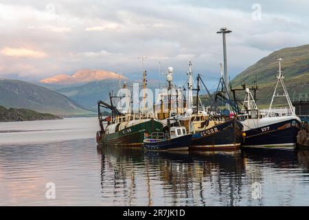 Verankerte Trawler in Evening Light, Loch Groom, Ullapool, Ross und Cromarty, Schottland, Vereinigtes Königreich, Großbritannien Stockfoto