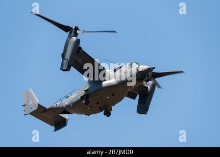 Bell-Boeing CV-22B Osprey fliegt bei RAF Mildenhall, Suffolk, Großbritannien. USAF V-22 Militärflugzeug mit Tiltrotor im Hover-Modus Stockfoto