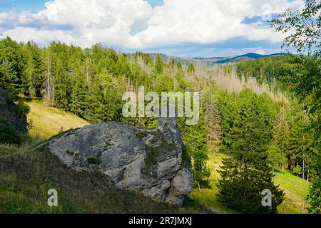 Landschaft auf dem Steinberg im Landschaftsschutzgebiet Herzberg am Harz, Niedersachsen. Blick vom Berg auf die umliegende Natur. Stockfoto