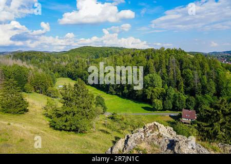 Landschaft auf dem Steinberg im Landschaftsschutzgebiet Herzberg am Harz, Niedersachsen. Blick vom Berg auf die umliegende Natur. Stockfoto