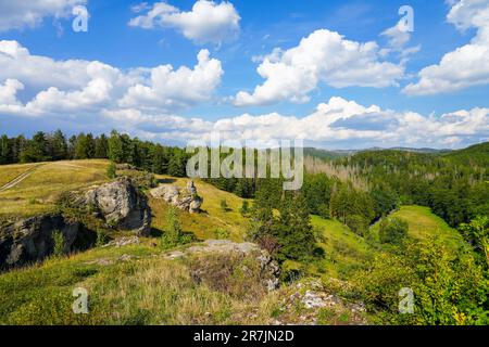 Landschaft auf dem Steinberg im Landschaftsschutzgebiet Herzberg am Harz, Niedersachsen. Blick vom Berg auf die umliegende Natur. Stockfoto