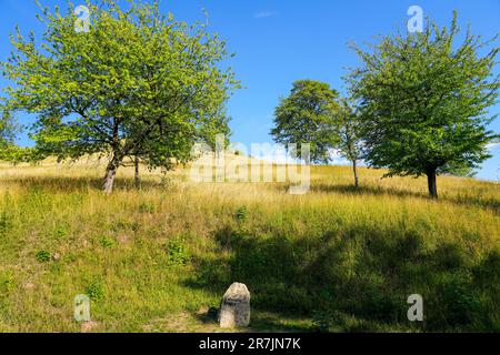 Landschaft auf dem Steinberg im Landschaftsschutzgebiet Herzberg am Harz, Niedersachsen. Stockfoto