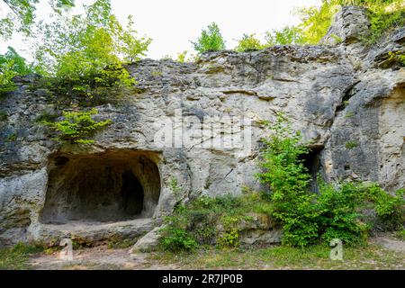 Scharzfeldkirche in der Nähe von Herzberg am Harz. Alte Höhle im Harz. Rund gewölbte Dolomitfelshöhle. Steinkirche. Stockfoto