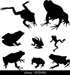 Frogs Silhouettes Kollektion - Vektor Stock Vektor