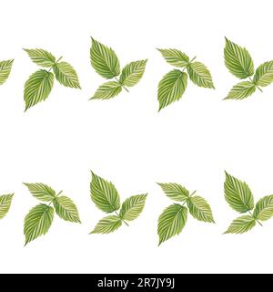 Nahtloser Himbeerrand. Aquarelldarstellung auf einem isolierten Hintergrund. Collage, Mosaik, Puzzle. Verpackung, Druck Stockfoto