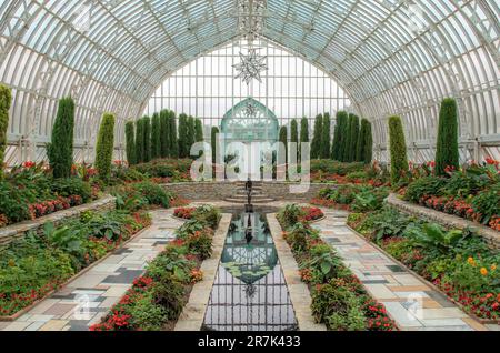 Rotes Sommerblumenthema im Marjorie McNeely Conservatory im Como Park Zoo and Conservatory in St. Paul, Minnesota, USA. Stockfoto