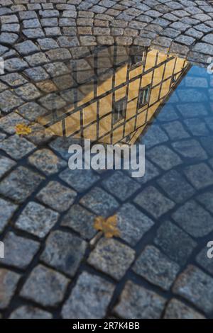 Deutschland, Sachsen-Anhalt, Wernigerode, Fachwerkhaus, das sich in einer Straßenpfütze spiegelt Stockfoto