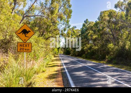 Australien, Victoria, Känguru-Schild entlang der Northern Grampians Road Stockfoto