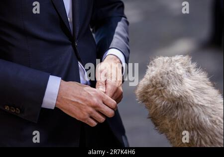 Den Haag, Niederlande. 16. Juni 2023. Wopke Hoekstra, Außenminister, im Binnenhof vor dem wöchentlichen Ministerrat. ANP SEM VAN DER WAL/Alamy Live News niederlande out - belgien out Stockfoto