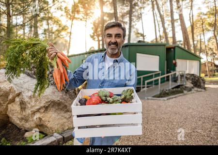 Ein erwachsener Mann steht im Garten und trägt eine Kiste mit frischem Gemüse Stockfoto