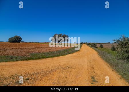 Landstraße im spanischen Landleben unter landwirtschaftlichen Feldern. Navarra, Spanien Stockfoto