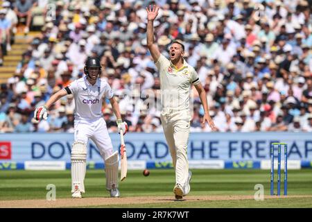 Birmingham, Großbritannien. 16. Juni 2023. Josh Hazlewood aus Australien appelliert während des LV= Insurance Ashes First Test Series Day 1 England gegen Australien in Edgbaston, Birmingham, Vereinigtes Königreich, 16. Juni 2023 . (Foto: Craig Thomas/News Images/Sipa USA) Guthaben: SIPA USA/Alamy Live News Stockfoto