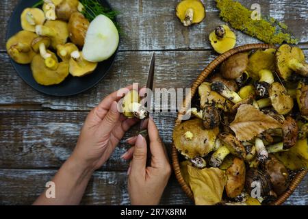 Ein Messer ist in den Händen einer Frau, eine Frau putzt frisch gepflückte Pilze. Es gibt einen Korb mit Pilzen auf einem Holztisch. Geschälte Pilze. Waldpilze sind im Korb. Stockfoto