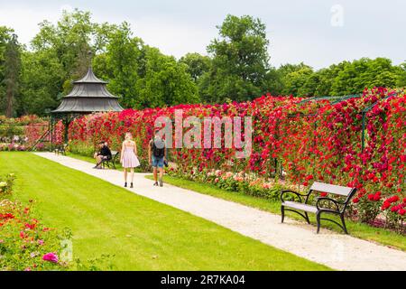 Pavillon in Gräfin Margit Cziraky Rose Garden, gegründet 1908, Esterhazy Palace, Fertod, Ungarn Stockfoto