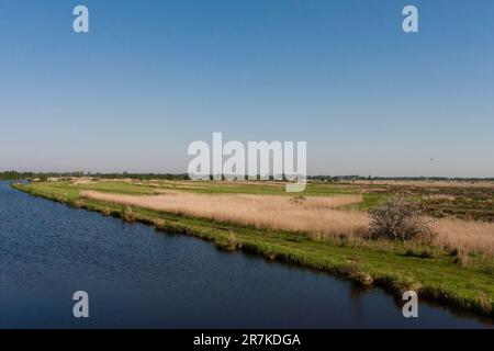 Uitzicht über Het landschap met Wasser en rietland; Blick auf Landschaft mit Wasser und Schilfgebieten Stockfoto