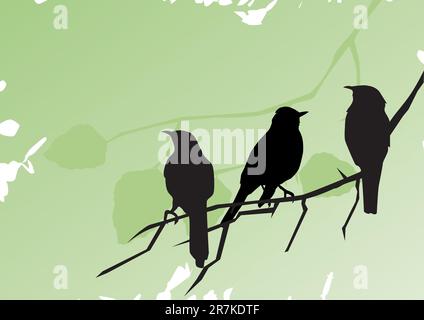 Vektordarstellung von auf dem Ast sitzenden Vogelsilhouetten Stock Vektor