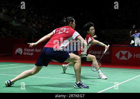 Jakarta, Indonesien. 16. Juni 2023. Chinas Zhang Shuxian (R)/Zheng Yu während des Viertelfinalspiels der Frauen gegen Jeong Na Eun/Kim Hye Jeong aus Südkorea bei der Indonesia Open 2023 in Jakarta, Indonesien, 16. Juni 2023. Kredit: Veri Sanovri/Xinhua/Alamy Live News Stockfoto