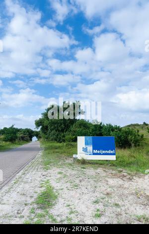 Meijendel neben einer Straße im Sommer Stockfoto