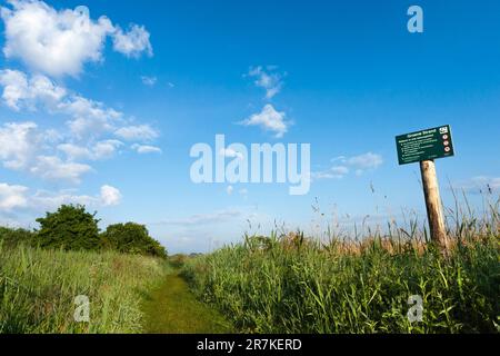 Zeichen der Zuid-Hollands Groene Landschap am Strand im Frühling Stockfoto