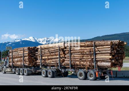 Nahaufnahme eines langen und beladenen Holzfällers auf einer Straße in British Columbia, Kanada, um Baumstämme zum Sägewerk zu transportieren oder zum Export mit einer schneebedeckten Halterung Stockfoto