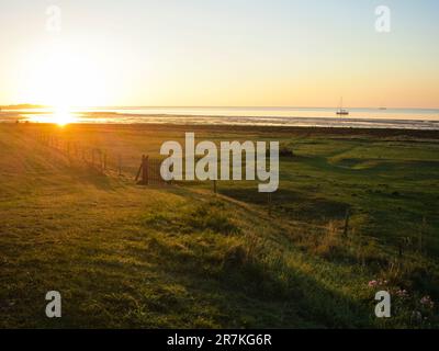 Uitzicht op Zee vanuit De Duinen; Blick auf Meer und Dünen Stockfoto