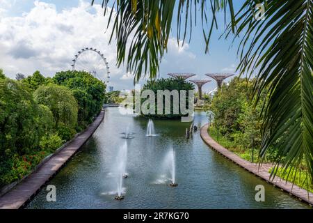 Atemberaubende Gärten an der Bucht in Singapur, einschließlich Flyer. Eine fesselnde Mischung aus Natur und Innovation. Majestätische Superbäume und üppiges Grün. Stockfoto