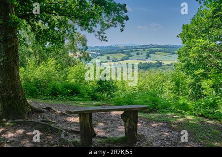 Blick von Kinver Edge in Richtung Titterstone Clee Hill, Kinver, Staffordshire Stockfoto