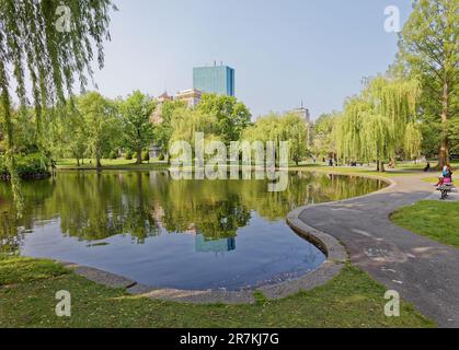 Boston Garden ist ein Wahrzeichen der Grünflächen an der südwestlichen Ecke des Beacon Hill Viertels. Der zentrale Teich des Gartens ist von Trauerweiden umgeben. Stockfoto