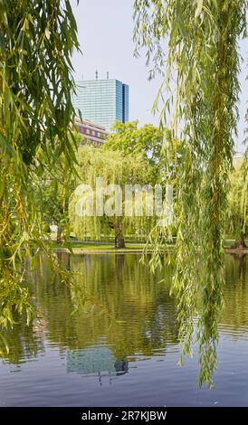 Boston Garden ist ein Wahrzeichen der Grünflächen an der südwestlichen Ecke des Beacon Hill Viertels. Der zentrale Teich des Gartens ist von Trauerweiden umgeben. Stockfoto