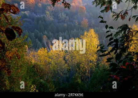 Die Herbstblattfarbe im Flusstal mit Sonnenaufgang Stockfoto