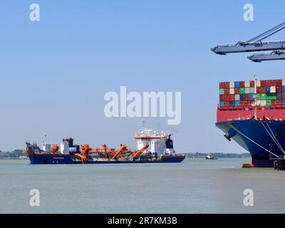 Felixstowe, Suffolk - 16. Juni 2023 : Dredger überholt Containerschiff im Hafen von Harwich. Stockfoto