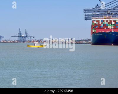 Felixstowe, Suffolk - 16. Juni 2023 : kleine gelbe Hafenfähre, die im Hafen von Harwich von Kränen und Containerschiffen in den Schatten gestellt wird. Stockfoto