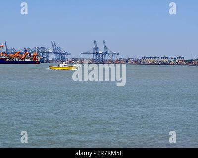 Felixstowe, Suffolk - 16. Juni 2023 : kleine gelbe Hafenfähre, die im Hafen von Harwich von Kränen und Containerschiffen in den Schatten gestellt wird. Stockfoto