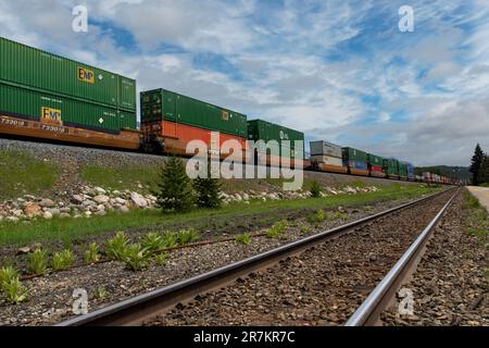 Lake Louise, ab, Kanada – August 2022; Blick entlang des Bahnschwunges mit Lokomotiven aus dem kanadischen Pazifik, die Autos mit Containern ziehen Stockfoto