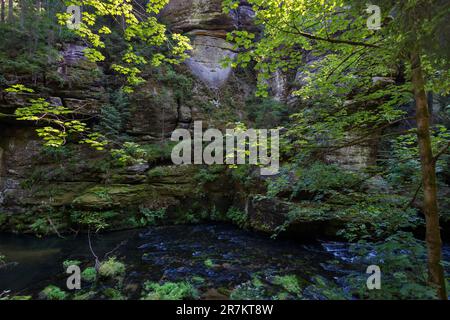 Der Fluss Kamenice im Nationalpark České Švýcarsko (Böhmische Schweiz) Stockfoto