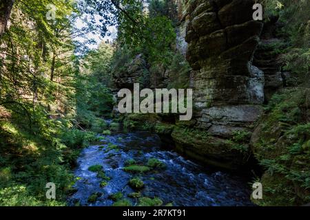 Der Fluss Kamenice im Nationalpark České Švýcarsko (Böhmische Schweiz) Stockfoto