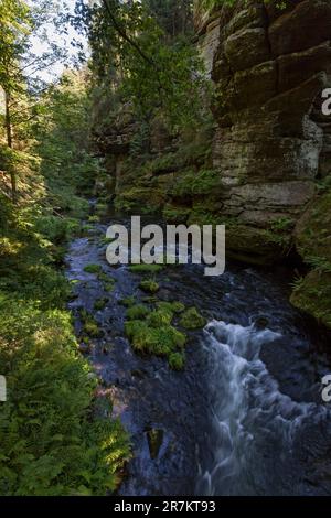 Der Fluss Kamenice im Nationalpark České Švýcarsko (Böhmische Schweiz) Stockfoto