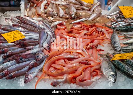 Verschiedene Arten von kleinen Fischen zum Verkauf auf einem Markt Stockfoto