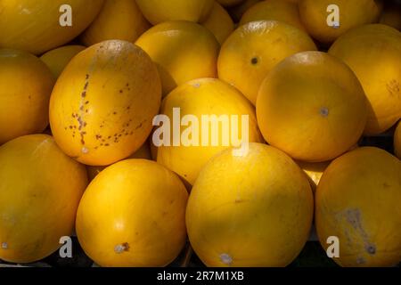 Gelber Honig aus Cavaillon, reife runde Charentais Honig-Cantaloupe Melonen auf lokalem Markt in der Provence, Frankreich, aus nächster Nähe Stockfoto