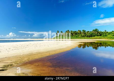 Wo der Fluss mit Kokospalmen im Hintergrund auf das Meer trifft, am Sargi Beach in Serra Grande an der Küste von Bahia Stockfoto