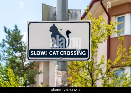 Langsam, Katzenüberquerung Schild auf der Straße Stockfoto