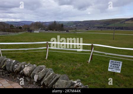 Pferdepaddock mit weißem Sicherheitszaun in den Eildon Hills bei Rhymer's Stone. Melrose, Schottland Stockfoto