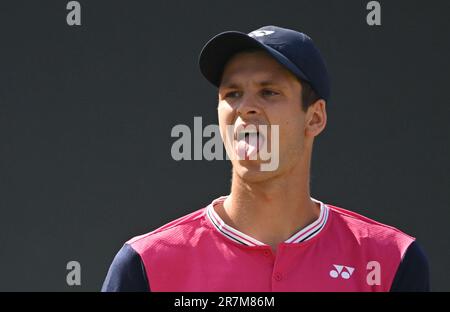 Stuttgart, Deutschland. 16. Juni 2023. Tennis: ATP-Tour - Stuttgart, Singles, Männer, Quarterfinals. Hurkacz (Polen) - O'Connell (Australien). Hubert Hurkacz reagiert. Kredit: Marijan Murat/dpa/Alamy Live News Stockfoto