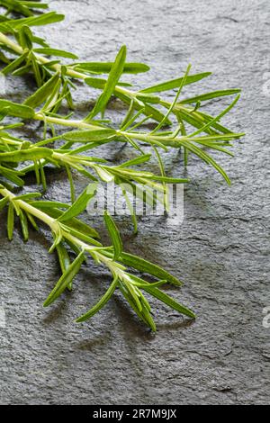 Rosmarin Herb Serie Nr. 3. Salvia Rosmarinus. Stockfoto