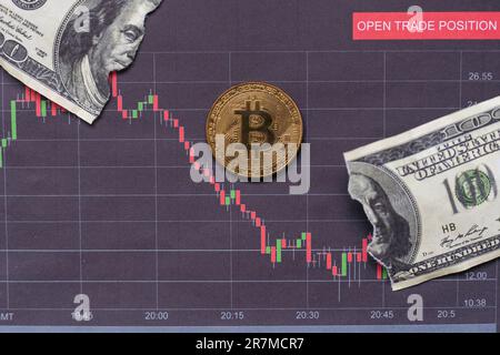 Miniaturmenschen: Makrogärtner-Figuren, die an Bitcoin arbeiten. Bitcoin- und Dollargeschichte. Digitales Geld und Bitcoin. Erfolg, Handel, Einheit und Stockfoto