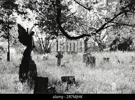 Ein Schwarzweißbild des Old Brompton Cemetery in London Stockfoto